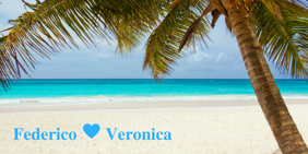 d10320e8-cfee-48d9-a5dc-d973b281aad1