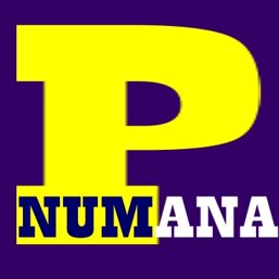 logo_portonumana_1_1