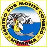 centrosub