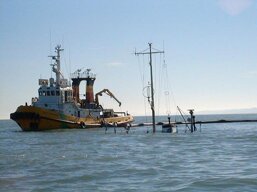 relittonicoleingrandita