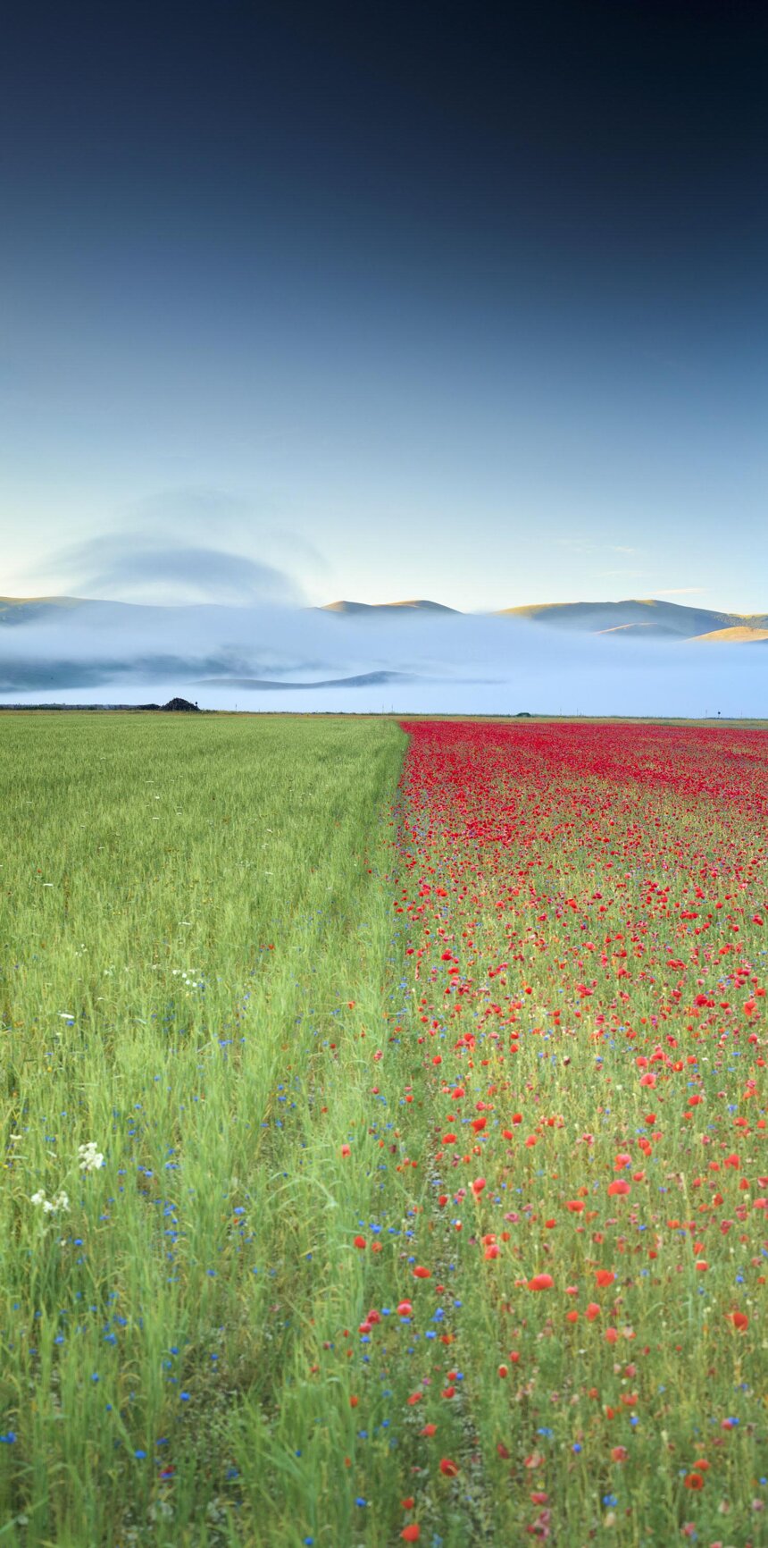 6a90065f-4d1e-41d4-ae3d-fc3ef1a49af4