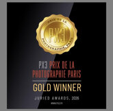 gold.jpeg