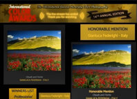 color award 14 fiorita.jpeg color award 14 fiorita.jpeg