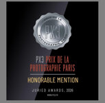 honorable mention.jpeg