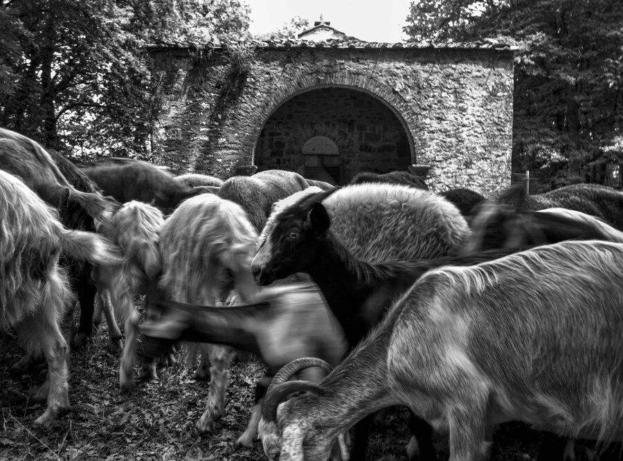 ea5a38d2-c240-41cd-aa46-c08f575a9f77