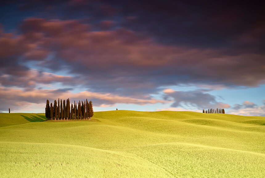 9c0e88f4-7ef1-4db2-81e6-ba9e6cc760ac 9c0e88f4-7ef1-4db2-81e6-ba9e6cc760ac