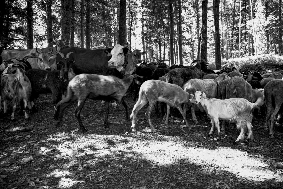 aa46f53e-df26-4b61-b1cf-d9a93aa2f3bc