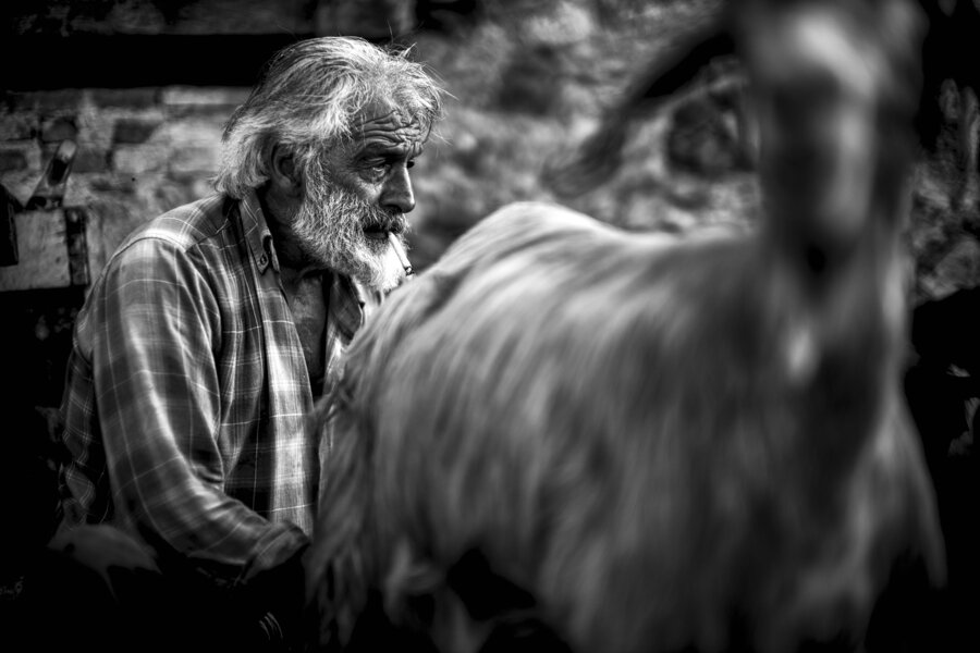 c844ea7c-d072-4028-82b1-16c575e32c3c