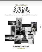 spider libro.jpeg spider libro.jpeg