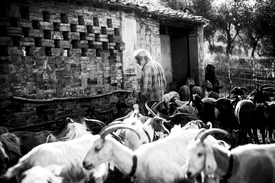 dbc52880-0b7a-4a60-89b4-cc95ab2c9a6f