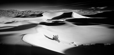 dune ok 1.jpeg