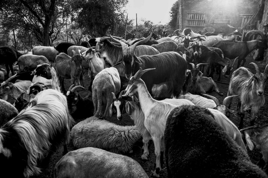 e4484229-d787-4ce0-95a6-34cfa668f93c