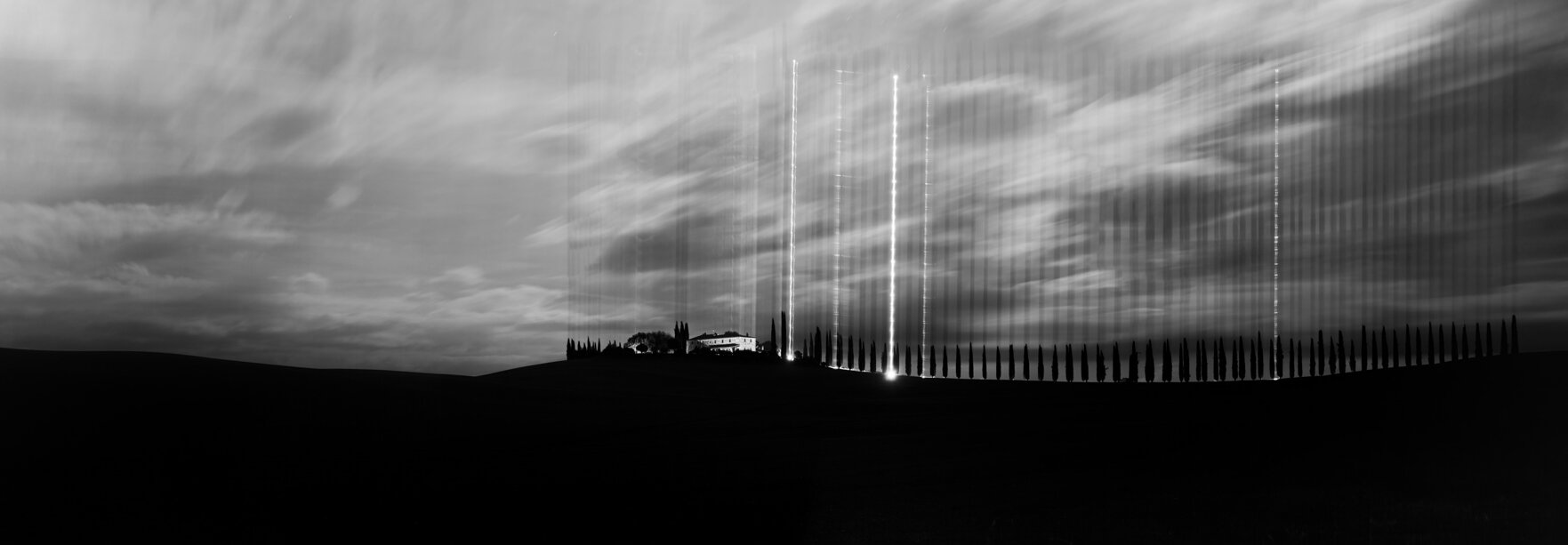cipressini bw evanescence.jpeg