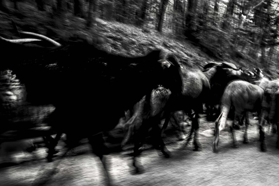 bf207568-24e8-4d74-90f2-0ffec1f3082d