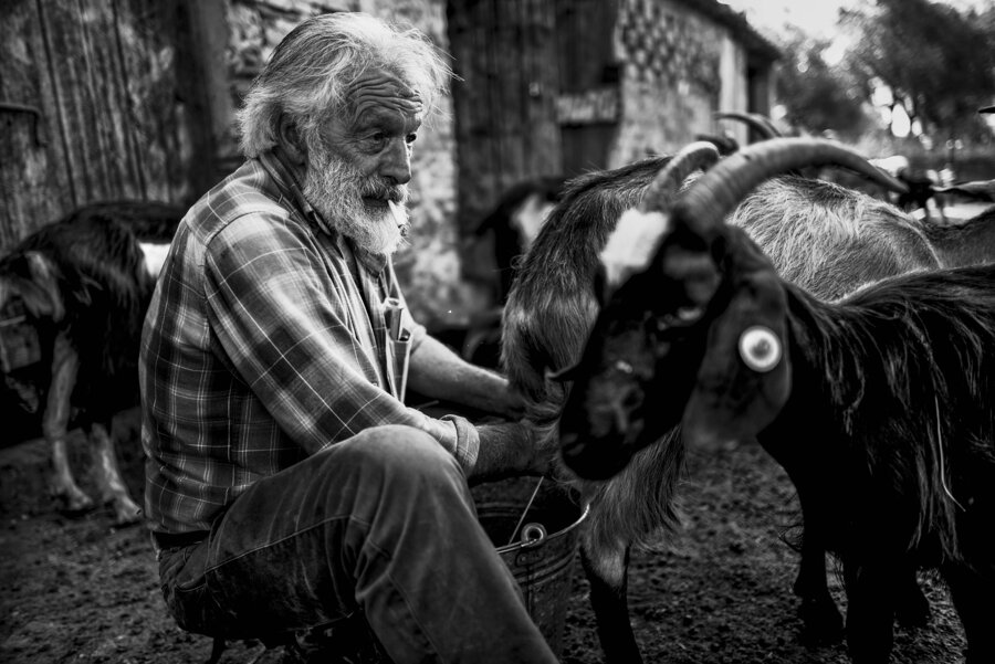 cd5136e9-7b89-4a77-ae6a-46d8eb7a31bc