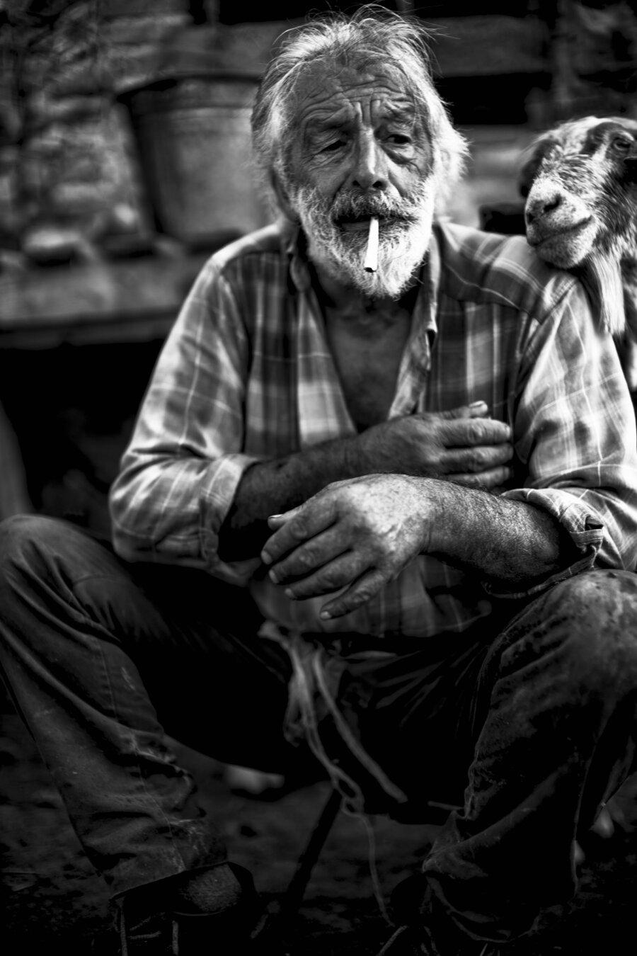 e309e1dd-6cee-4a4a-9946-bbed281005c1