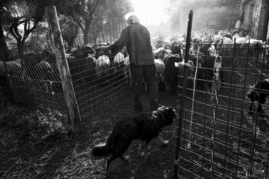 b866157f-f571-4f67-90cf-e1a6087f9e33