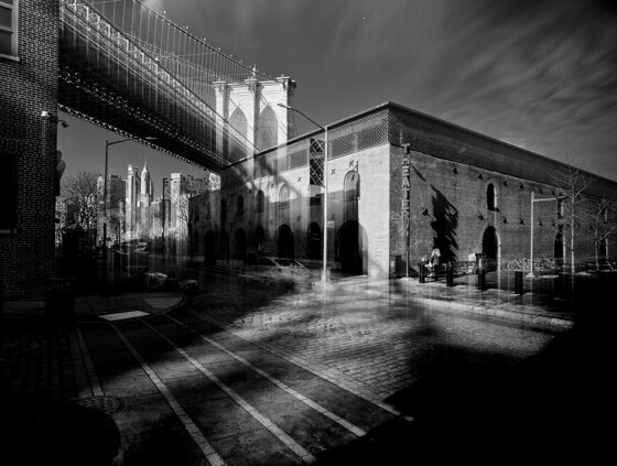 dumbo ev 40_2.jpeg dumbo ev 40_2.jpeg