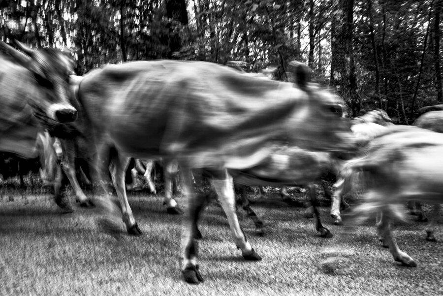 5f60e175-7bca-470d-9e8a-2c97701a5861