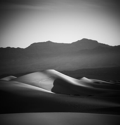 iiq 311 desert.jpeg
