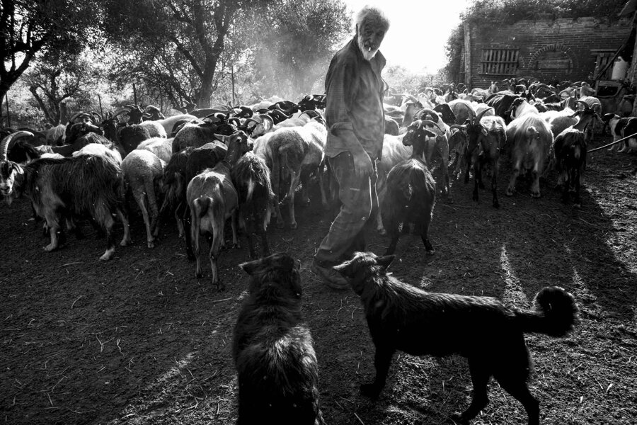 4e568de8-88e9-4980-b0a8-52cbeb47d1d2