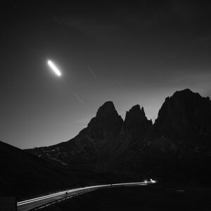 cipressini%20lungo%20bw.jpeg