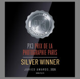 silver.jpeg