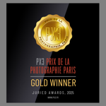 gold px3 2025 gold px3 2025
