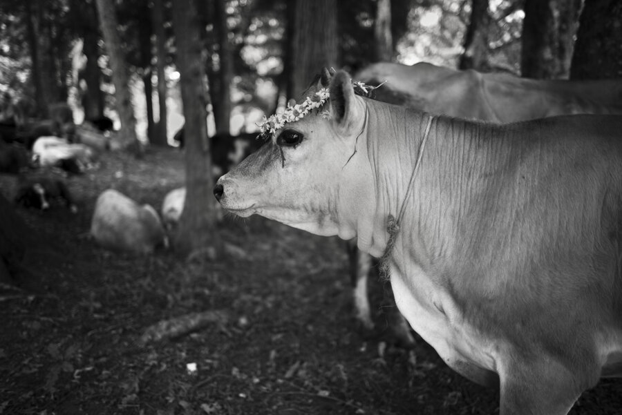 cdf15b7c-1d6d-4d21-a390-9c135dc4c9b9