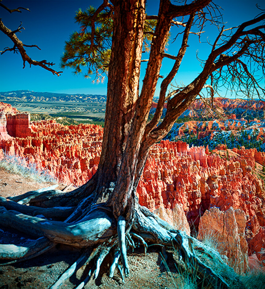 64c46f54-366b-46e8-8732-1709de74948c