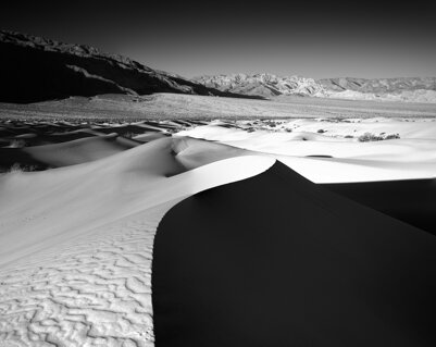 mesquite bw-11.jpeg
