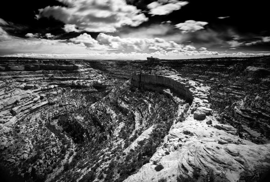 the citadel bw 1.jpeg