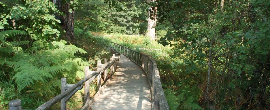 passerelle in legno