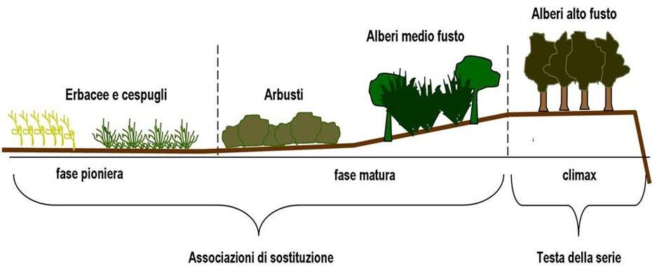 Associazioni fitosociologiche