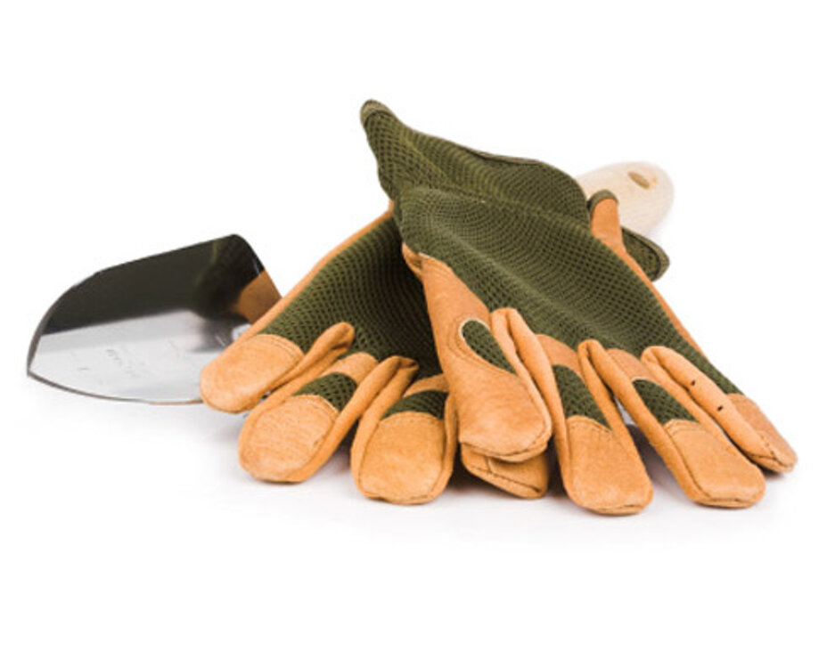 Progettazione parchi e giardini