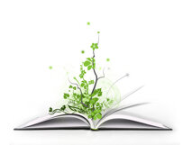 Valutazione di Impatto Ambientale