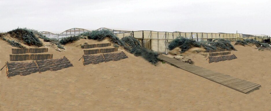 Ripristino dune