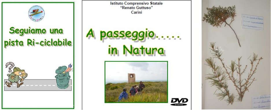 Educazione ambientale