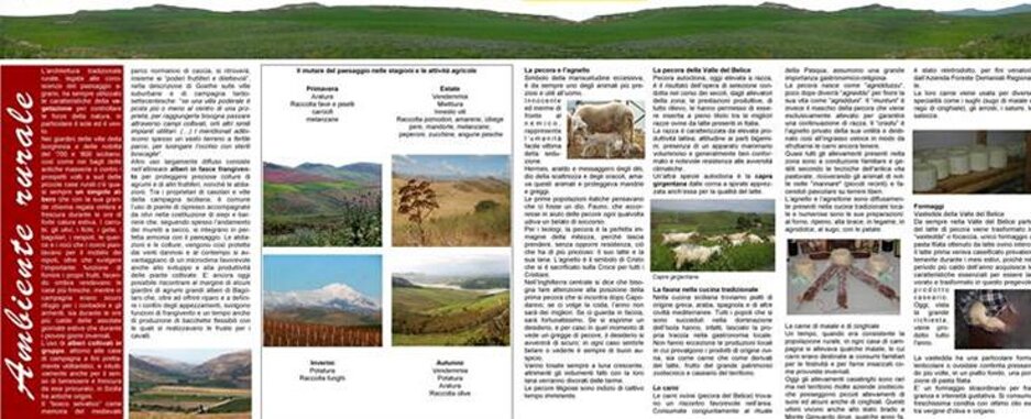 Guide naturalistiche