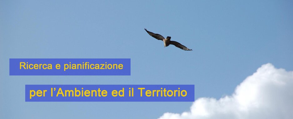 Valutazione di Impatto Ambientale