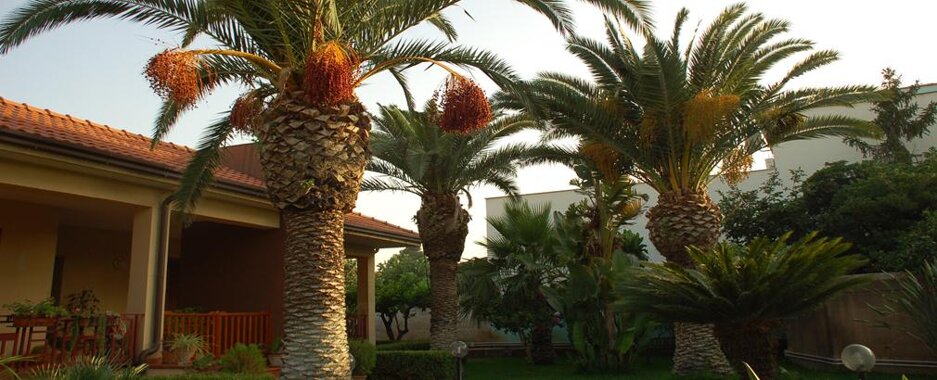 giardini ville