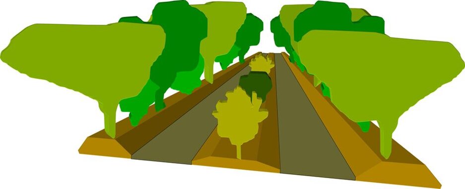 Alberi bordo strada
