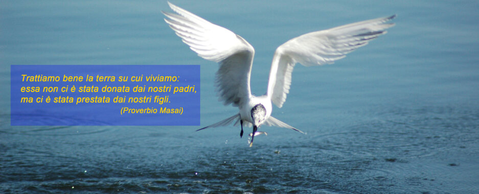 Descrizione immagine