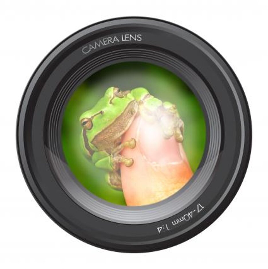 Realizzazione materiale didattico ambientale