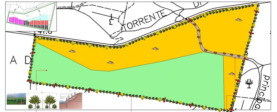 Fascia Arborea perimetrale