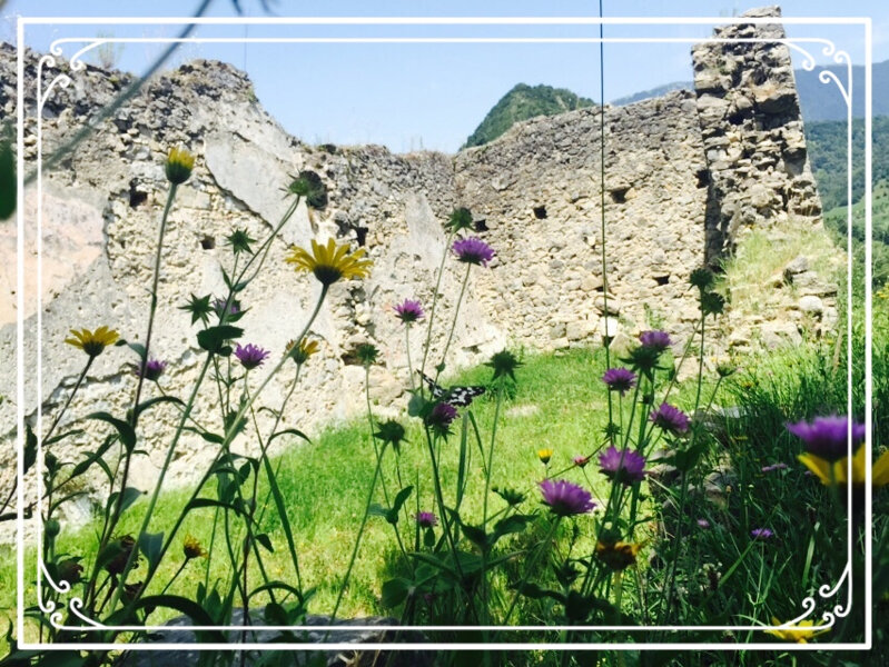 8a325e107a644435a6165c11de06d614