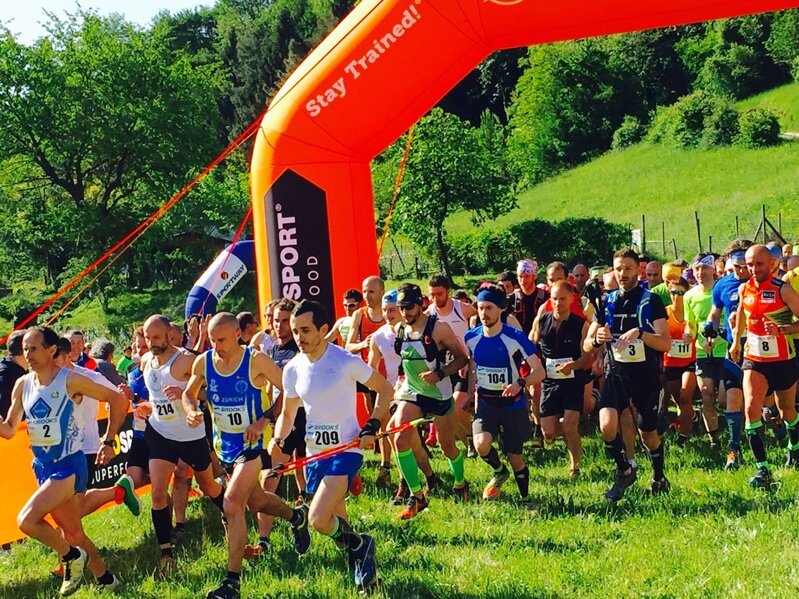 13131452_573851176117924_2971282080357150735_o