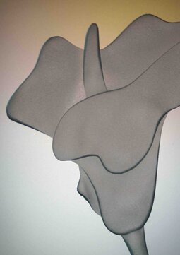 Descrizione immagine