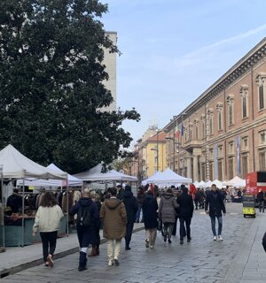mercatino%20bancarelle%20via%20brera%20pinacoteca%20milano%20ascoduomo%20mercatiniecuriosita%2057.jpeg