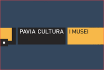 paviaculturaemuseimercatiniecuriosita